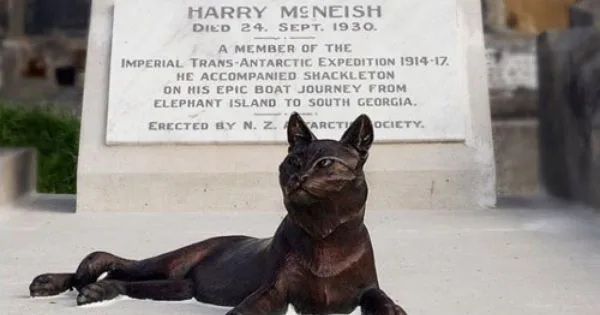 Boat Cats - Mrs. Chippy Statue on Mc Nish Grave