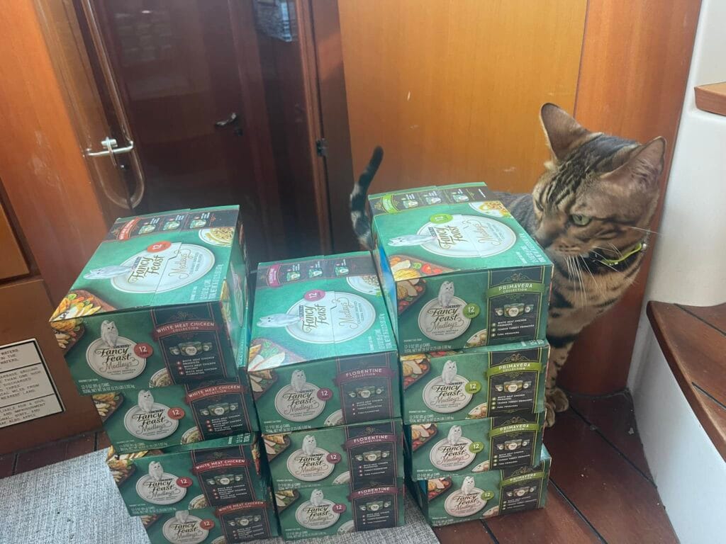 Tekne Kedileri Mama Stogu