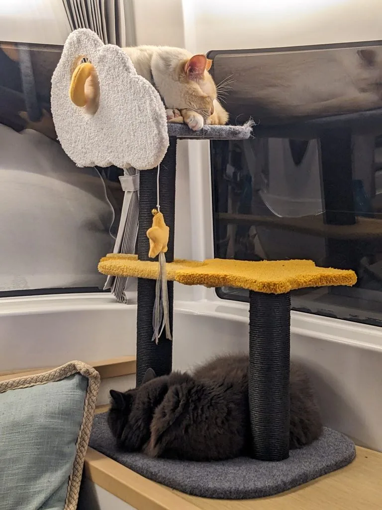 tekne kedileri cat tree jpg