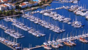 Marine Surveyor Fethiye