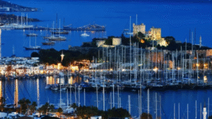 Marine Surveyor Bodrum